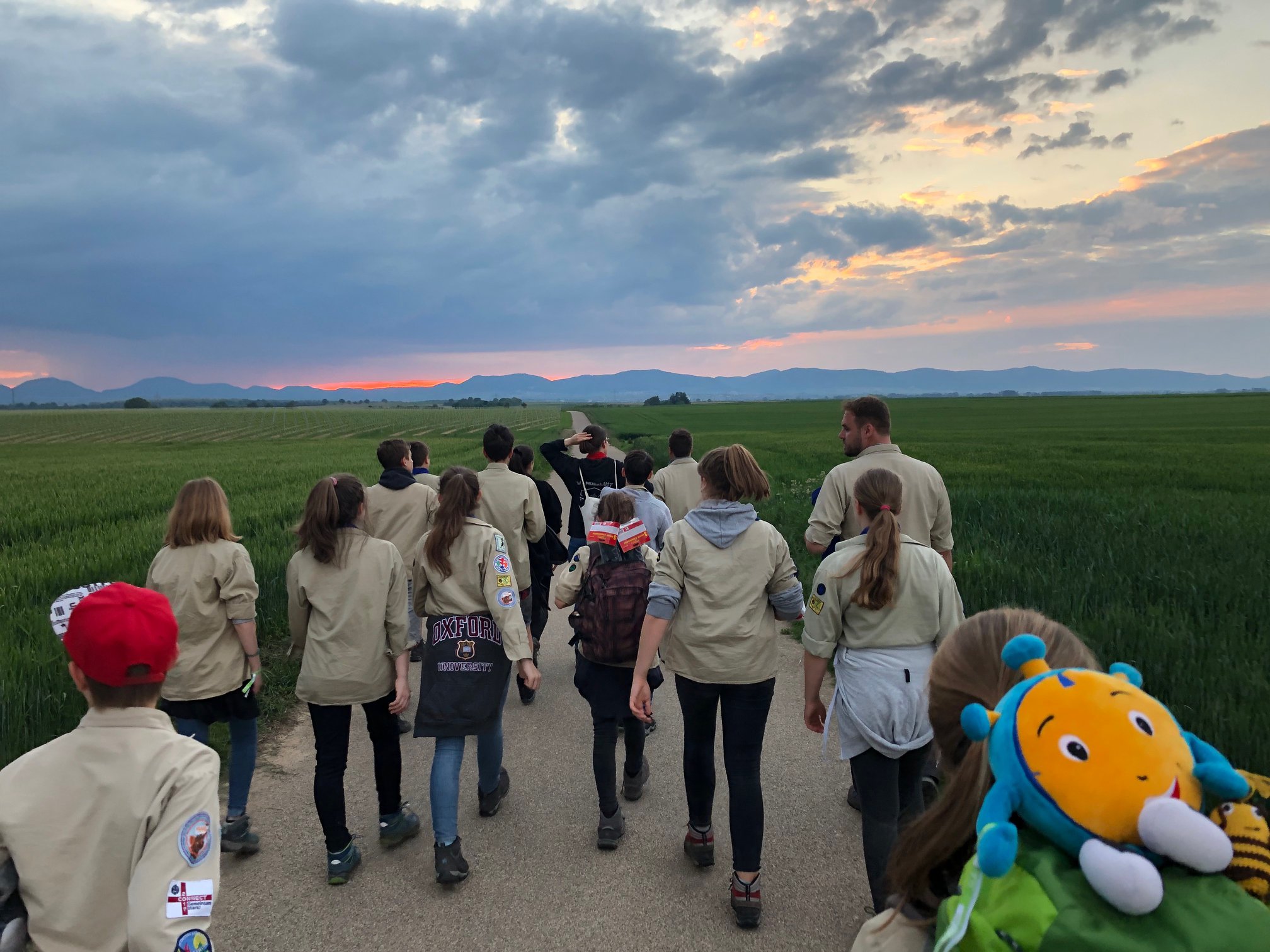 Pfandfinder, die gemeinsam einen Landweg entlang laufen.